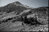 Peak below Gottless Mtn.