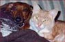 Ernie and Grovie