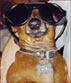 Ernie Goes Hollywood (Ian's reflection in glasses)