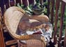 Sunbathing