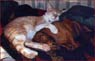 Ernie and Grover at the beginning of the love affair